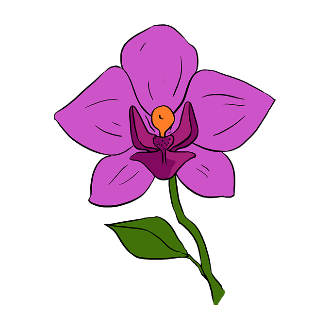 680x678 Orchid Landscape Drawing Easy Pictures And Ideas On Pro Landscape