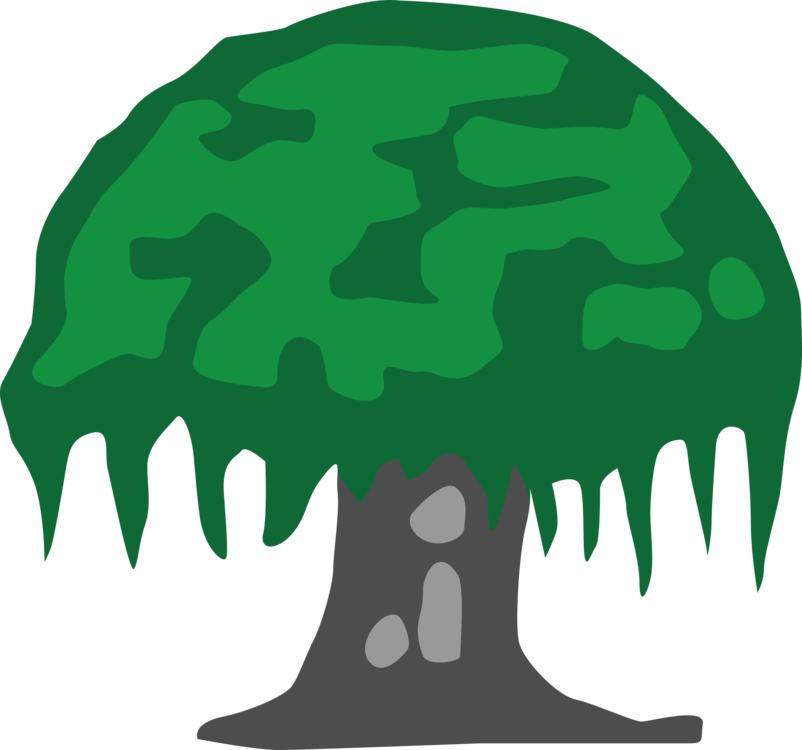 802x750 Drawing The Great Banyan Tree Pencil Cc0