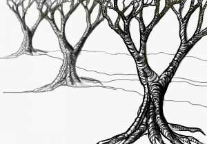 300x210 Landscape Drawing Tree Side Walrk Pencil Drawing Of Natural