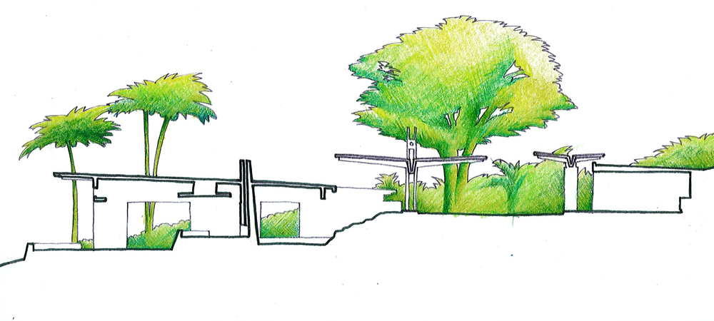 1000x450 Case History The Tropical Home Imagine Red