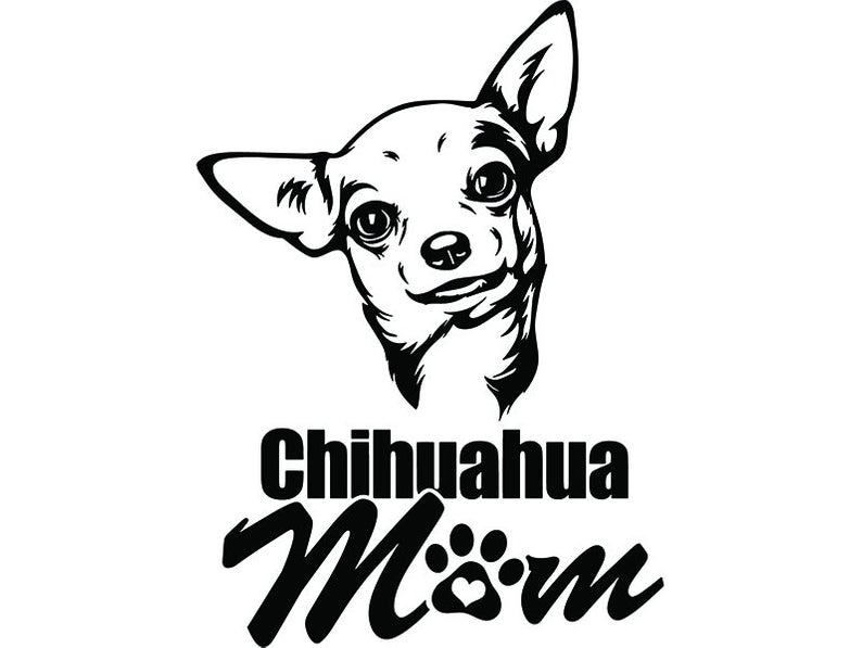 794x597 chihuahua mom dog puppy breed k animal pet pedigree etsy