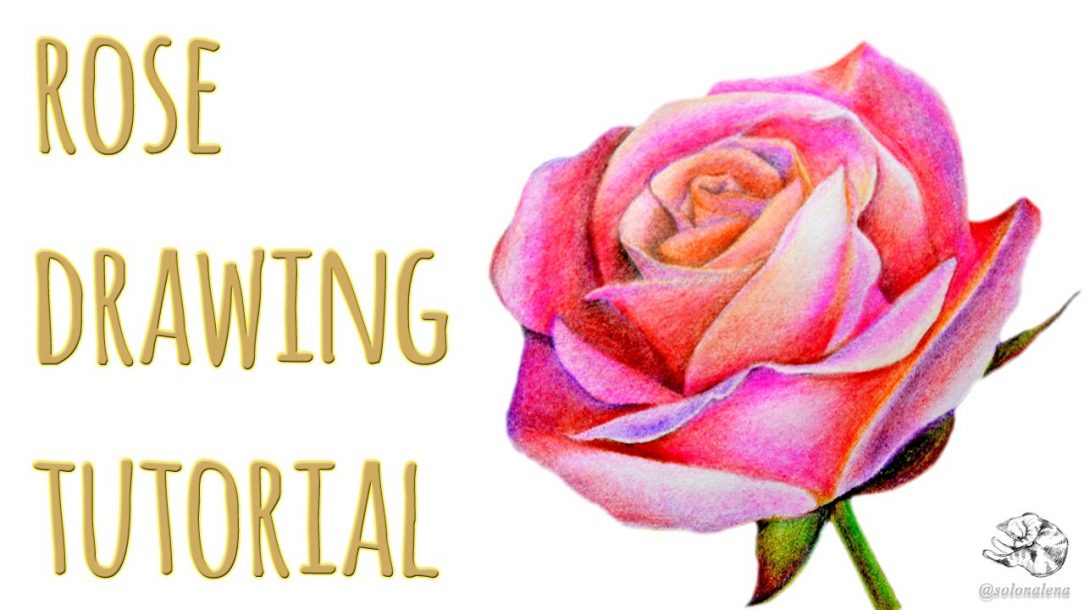 1084x610 Beautiful Rose Flower Drawings In Pencil Bouquets Some And Easy