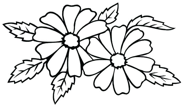 700x410 Big Flower Coloring Pages Hard Flower Coloring Pages Large Flower