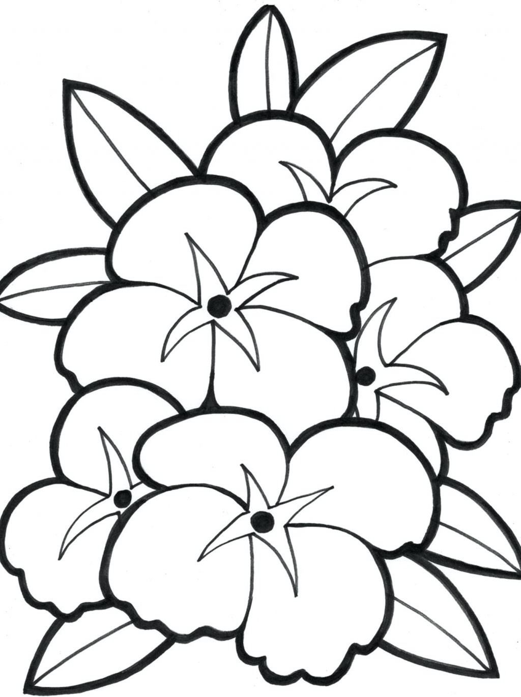 1024x1371 Eflclpl Large Print Flower Coloring Pages Open For Adults Animalsl
