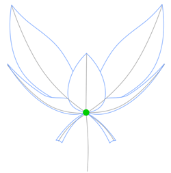 250x253 How To Draw Large Flower Petals