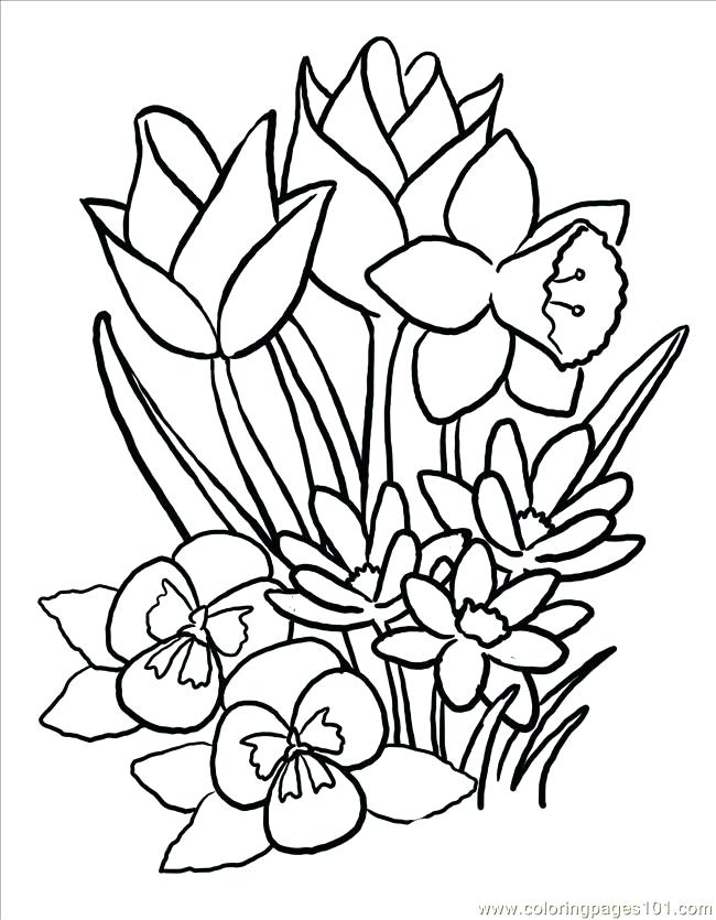 650x835 Mothers Day Flowers Coloring Pages Large Images More Big Flower