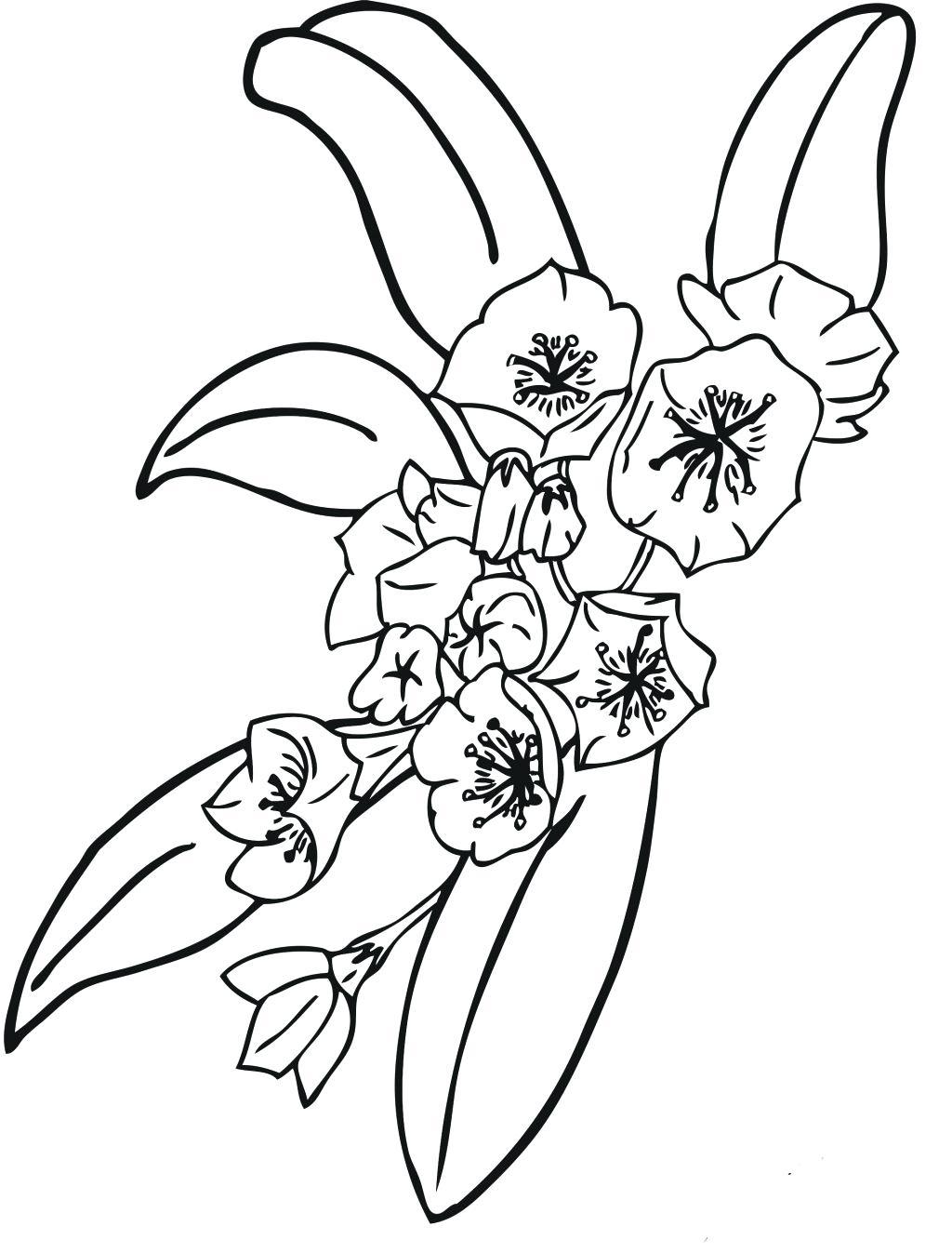 1024x1347 Small Flowers Line Drawing