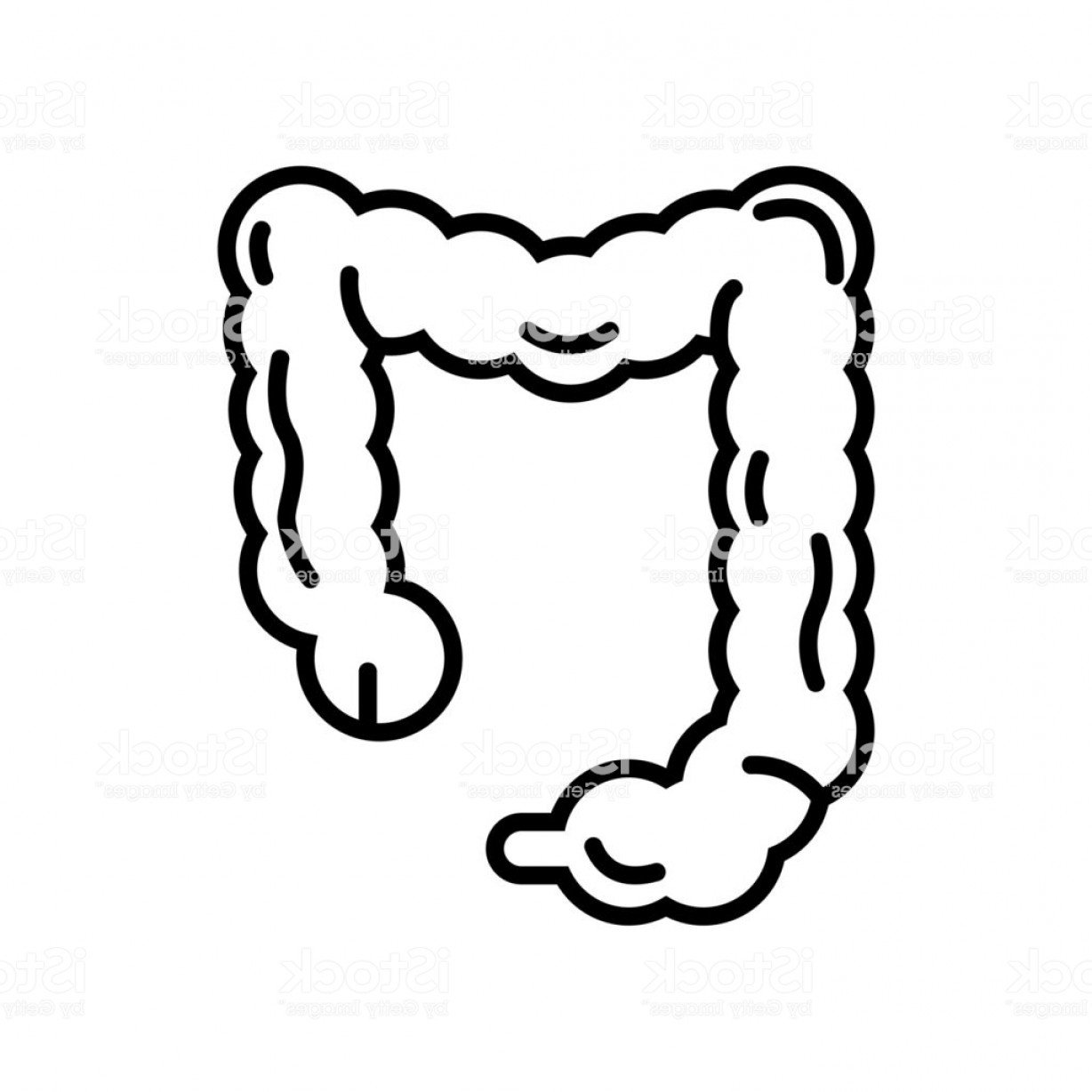 1228x1228 Large Intestine Icon Isolated On White Background Black Outline