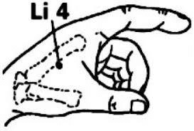 273x184 Location Of Large Intestine Point Download Scientific Diagram
