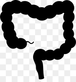 260x280 Bat Drawing Clip Art