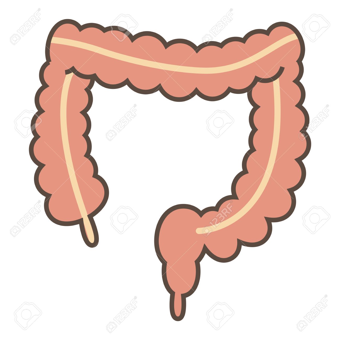 1300x1300 Collection Of Free Epiploa Clipart Large Intestine Download On Ui Ex