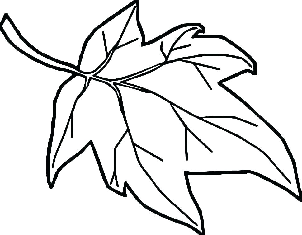 970x755 Coloring Pages Orange Tree Things For Preschoolers Fruit Drawing