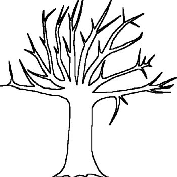 350x350 Tree Template No Leaves