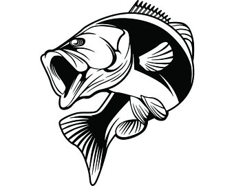 340x270 Largemouth Bass Etsy