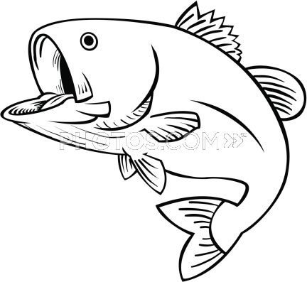 432x397 Leaping Fish Paintings Fish Drawings, Fish Clipart, Fish