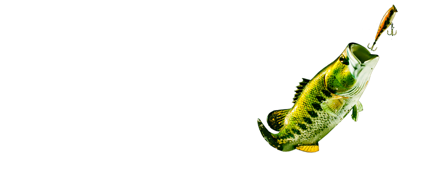 891x373 Masters Of Bass Longform