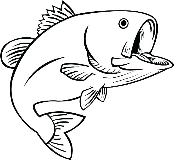 600x552 Largemouth Bass Coloring Pages