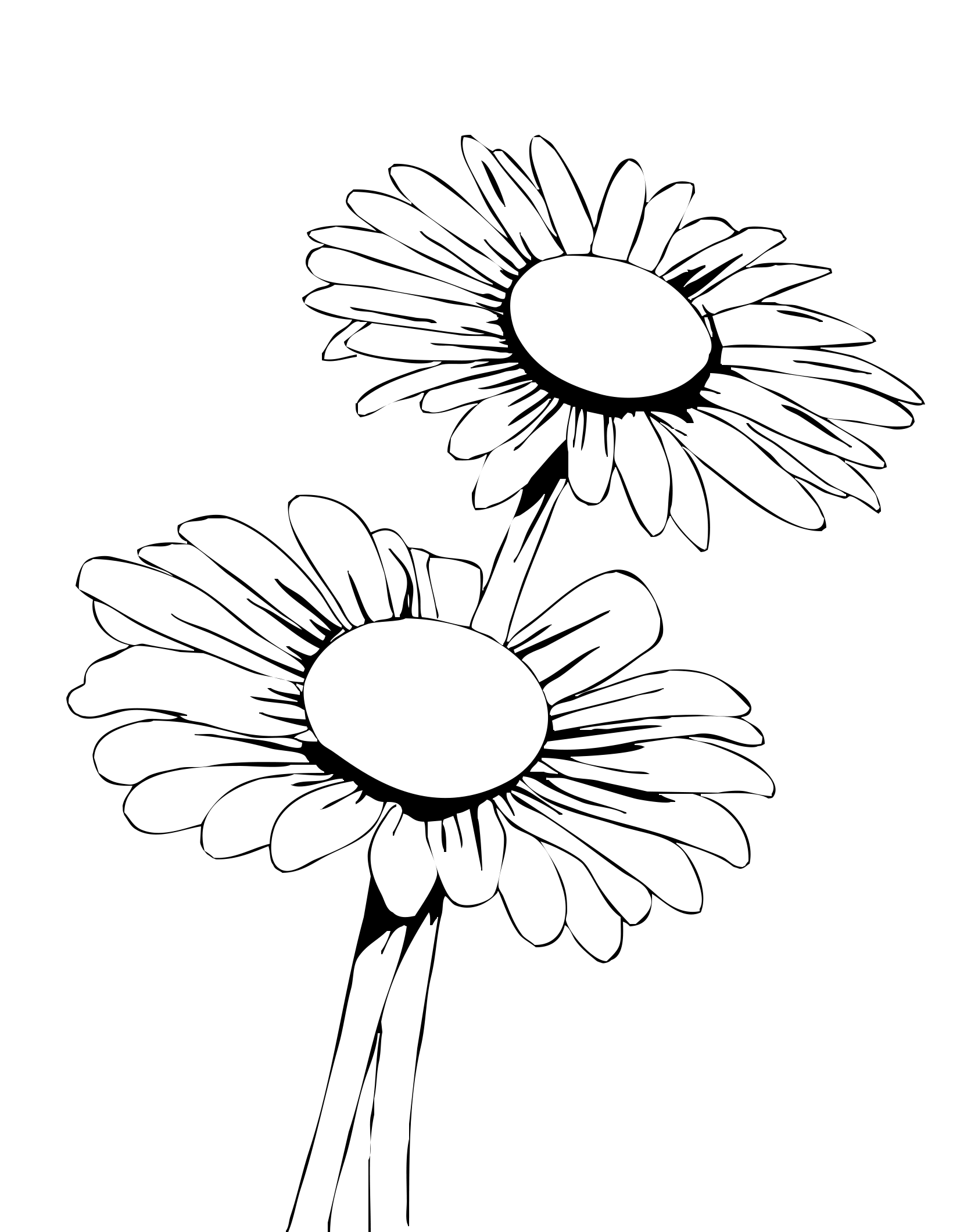 1640x2120 Collection Of Free Wildflowers Drawing Basic Download On Ui Ex