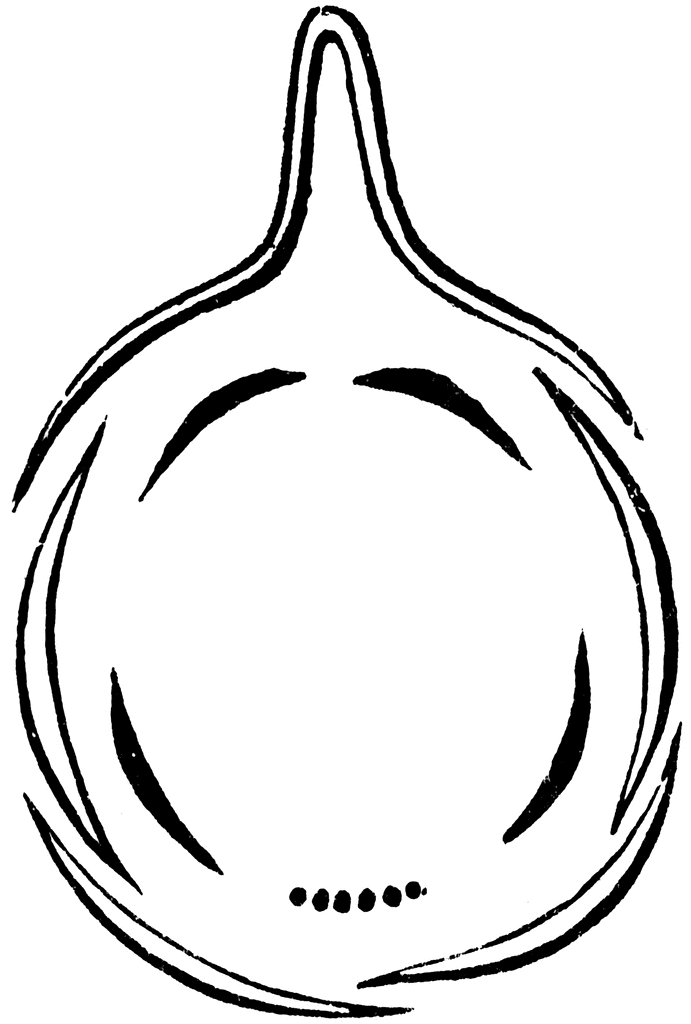 691x1024 Larkspur Clipart Etc