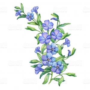 300x300 Blooming Green Flower Vector Silhouette Sohadacouri