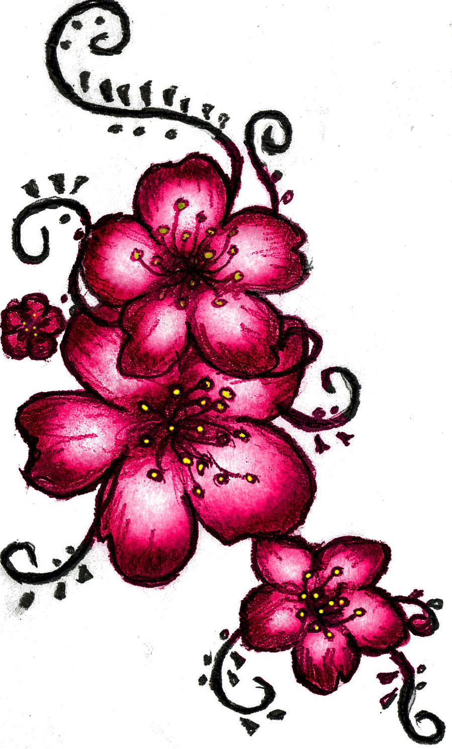 900x1490 Cherry Blossom Clipart Flower Drawing