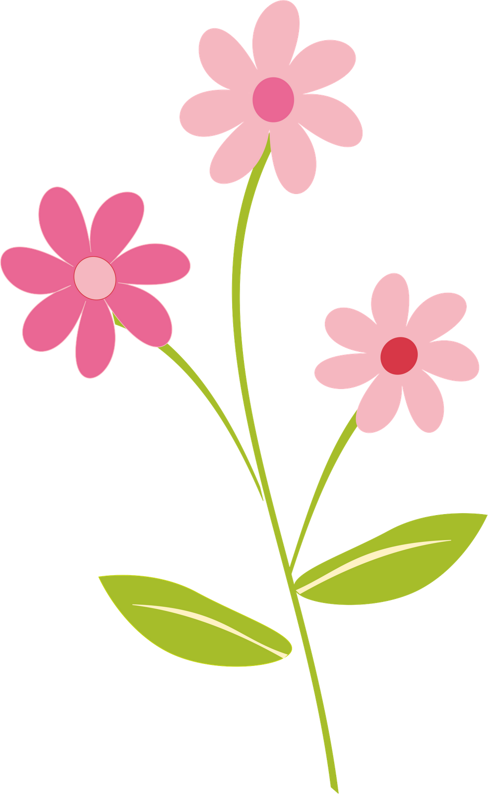 984x1600 Flower Png Pictures And Cliparts, Download Free
