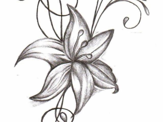 640x480 Larkspur Flower Tattoo