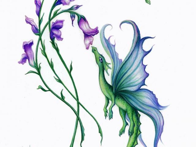 Larkspur Flower Drawing | Free download on ClipArtMag