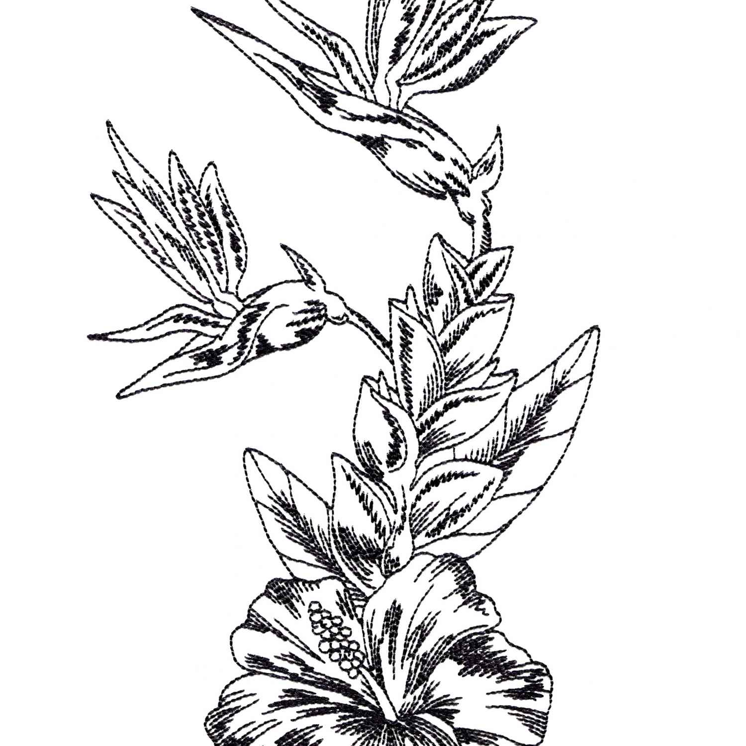 1500x1500 Tropical Flower Drawings Clip Art