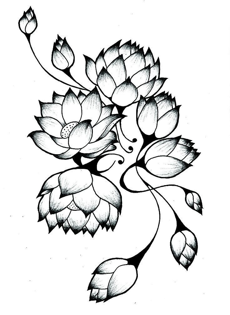 736x1009 Thai Flower Drawings For Tattoos Ideas And Designs