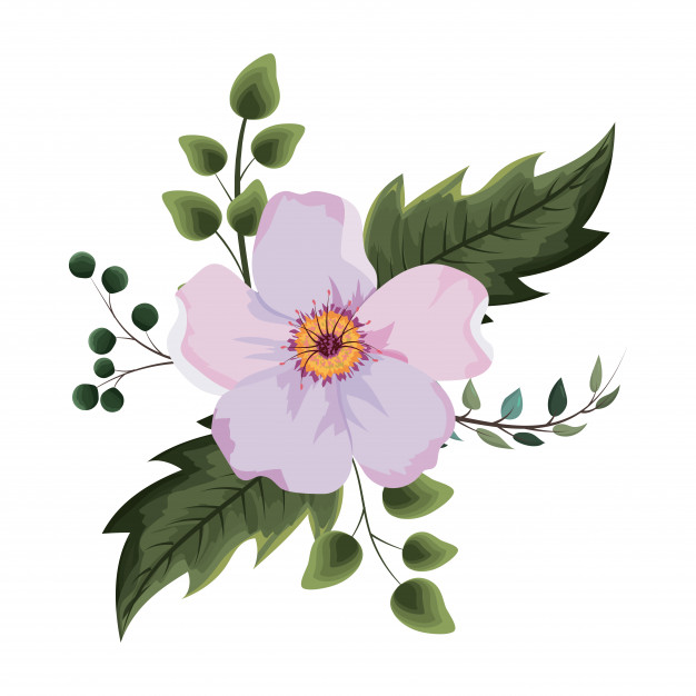 626x626 Beautiful Flower Drawing Vector Premium Download