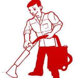 250x250 Daisy Carpet Cleaning