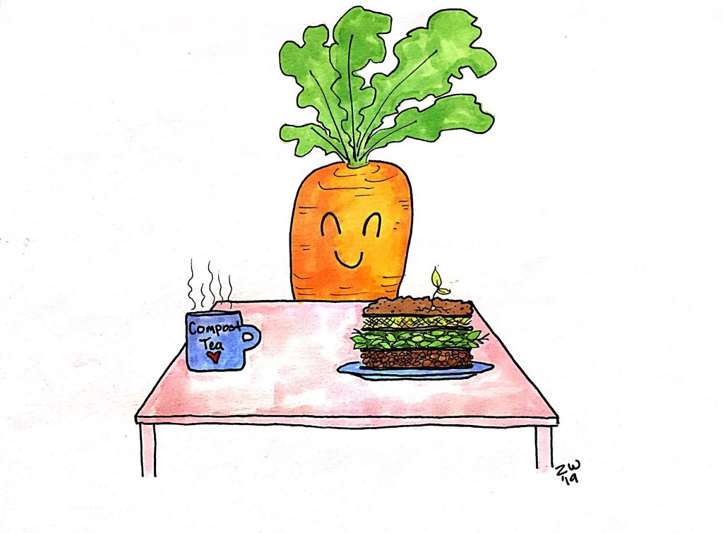 1024x755 compost lasagna