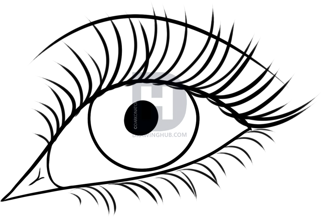 1067x720 How To Draw Eyelashes, Step