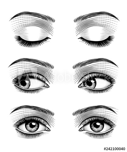 416x500 women's luxurious eyes with perfect eyebrowes and full lashes