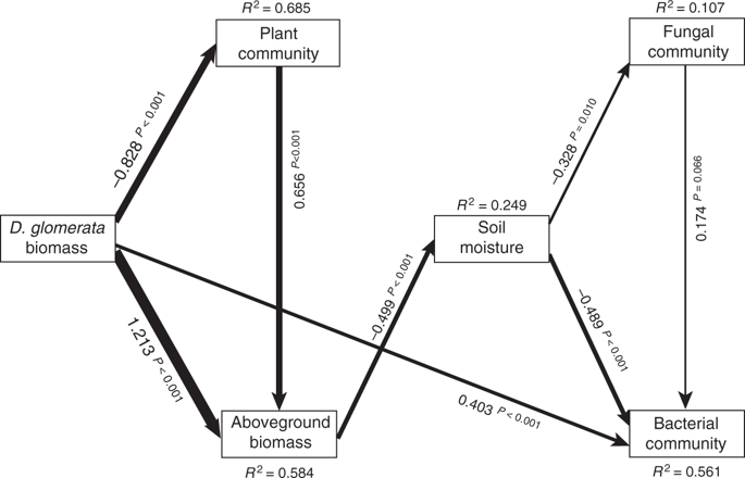 685x440 soil bacterial networks are less stable under drought than fungal