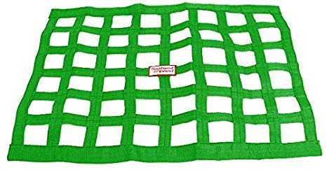 466x243 Southwest Speed Green Racing Window Net, X