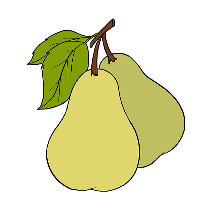 680x678 Huge Collection Of 'pears Drawing' Download More Than Images