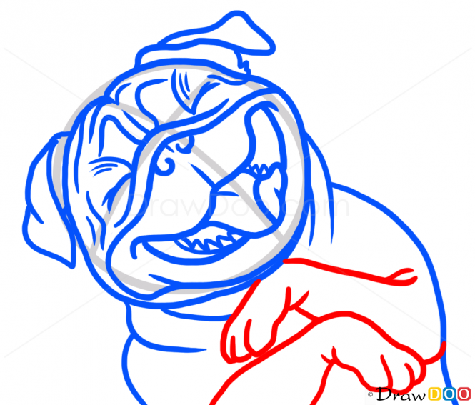 665x567 how to draw pug laughing, dogs and puppies art in pugs