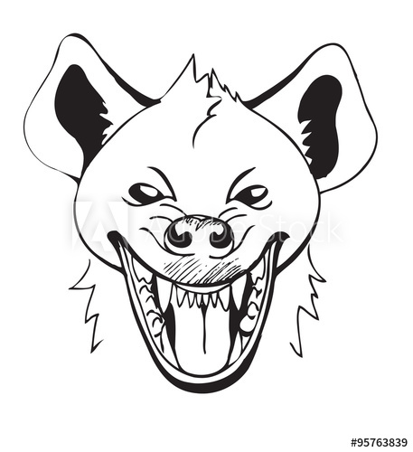 457x500 Laughing Hyena's Head With Open Mouth, Sketch