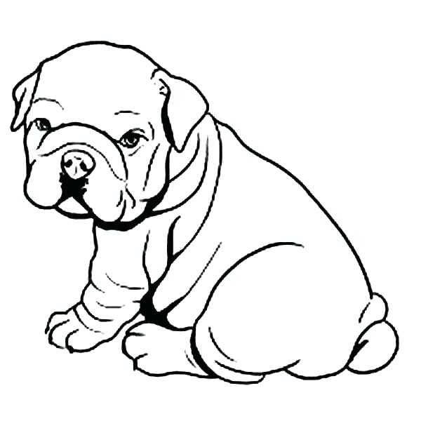 600x600 Dog Drawings For Coloring