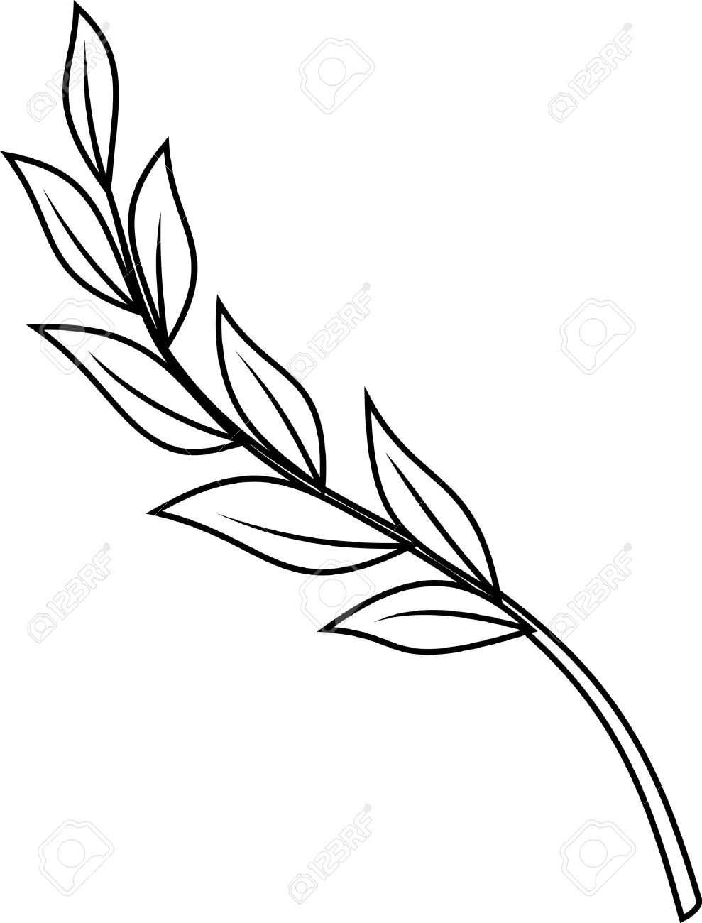 989x1300 laurel branch stock vector illustration and royalty free laurel