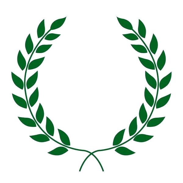 600x600 Laurel Leaves Drawing Roman Leaf Crown Template