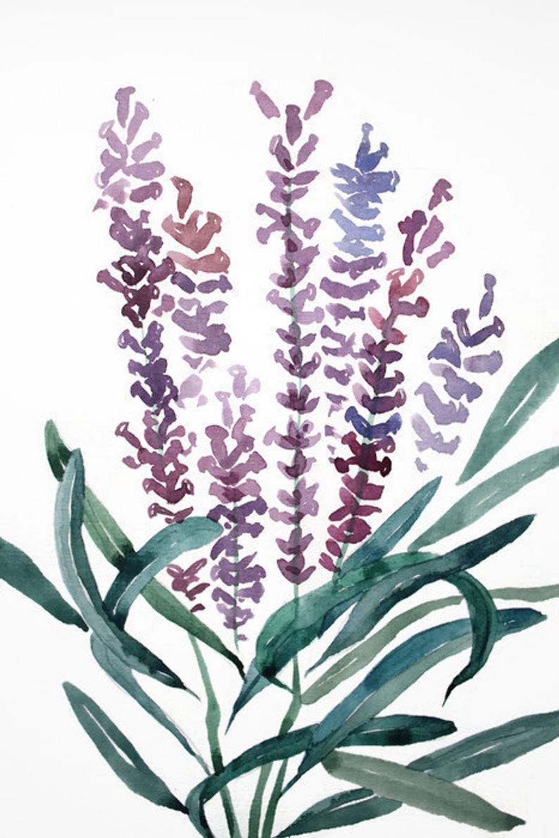 794x1190 Lavender Original Watercolor Flower Illustration Painting Etsy