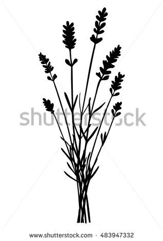 318x470 Bunch Of Lavender Flowers