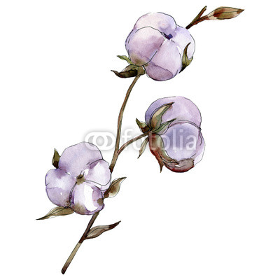 400x400 Cotton Floral Botanical Flower Wild Spring Leaf Wildflower