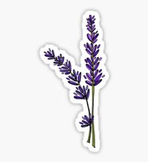 210x230 Lavender Drawing Stickers Redbubble