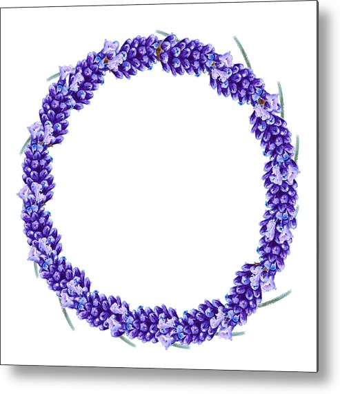493x572 Lavender Wreath Isolated Watercolor Illustration Metal Print