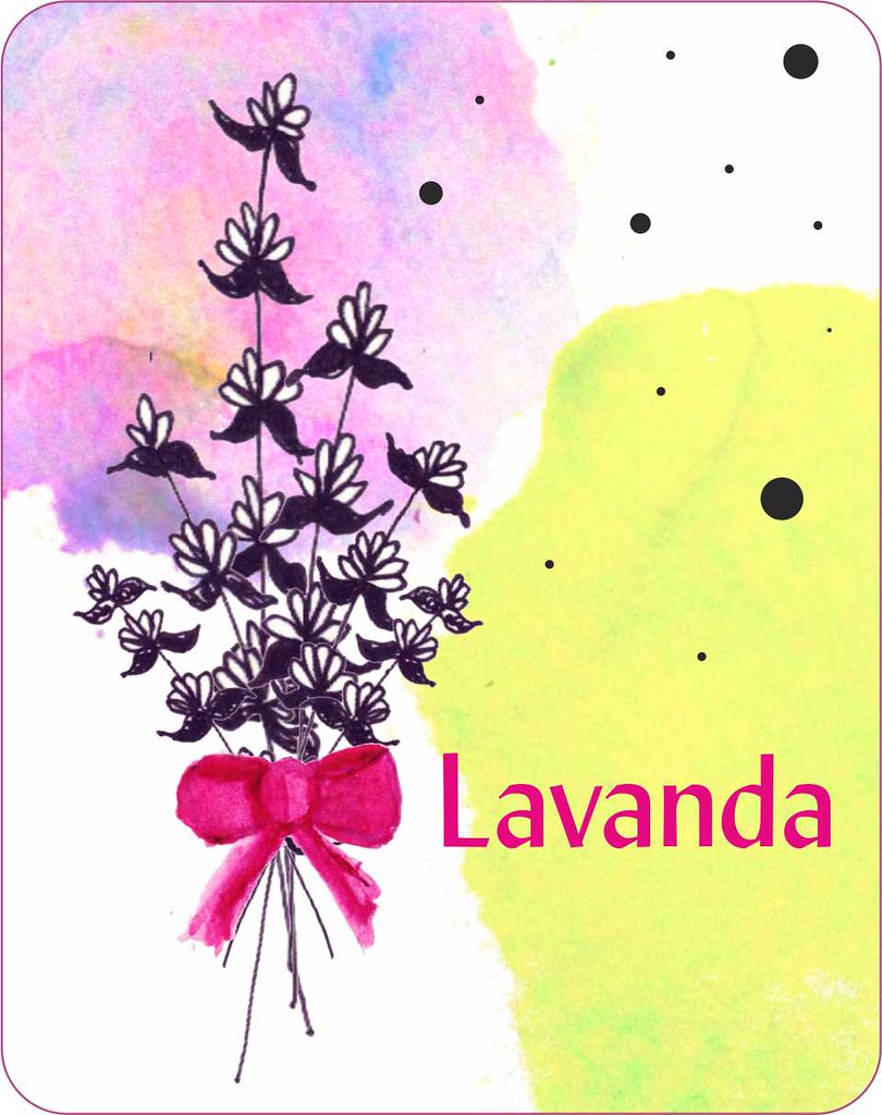 810x1024 The World's Best Photos Of Drawing And Lavender