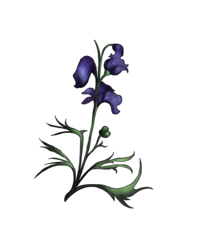 400x479 Wolfsbane Drawing Huge Freebie! Download For Powerpoint